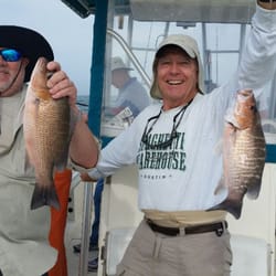 Captain Aaron Lowman - Double mangrove snappers