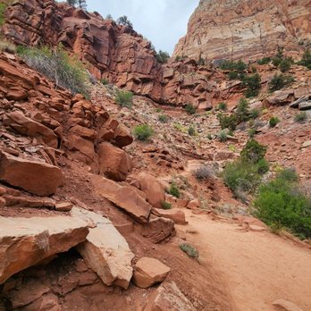 Zion National Park - Hiking Near Me - Springdale, Utah Zion National Park - Hiking Near Me - Springdale, Utah