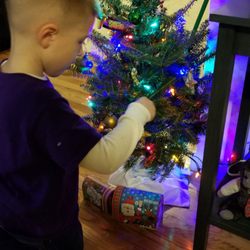 Check out the little tree.