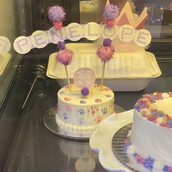 Hip Hound - Cake on display - Pet Stores Near Me - Portland, Oregon Hip Hound - Cake on display - Pet Stores Near Me - Portland, Oregon