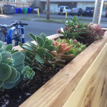 Ranch - Planters on the outside booths - Pizza Near Me - Portland, Oregon Ranch - Planters on the outside booths - Pizza Near Me - Portland, Oregon