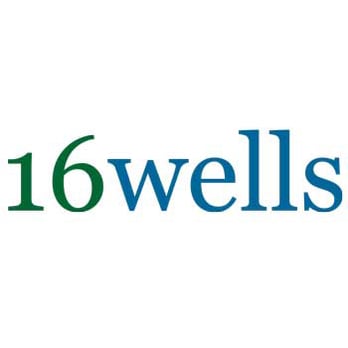 1. 16Wells