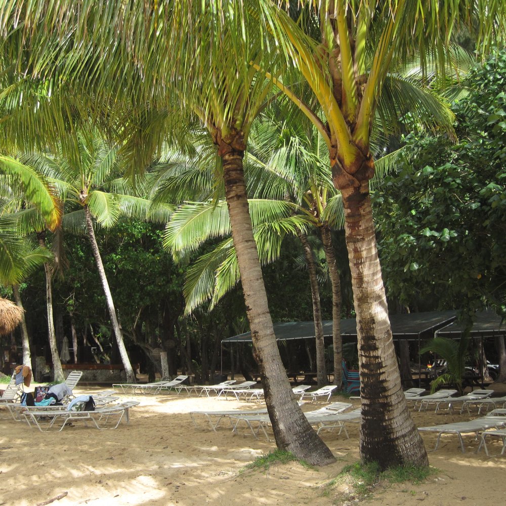 Secret Island - Beaches Near Me Secret Island - Beaches Near Me
