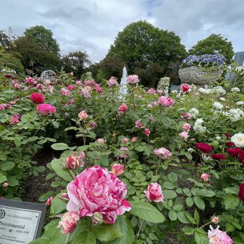 James P Kelleher Rose Garden - Parks Near Me - Boston, Massachusetts