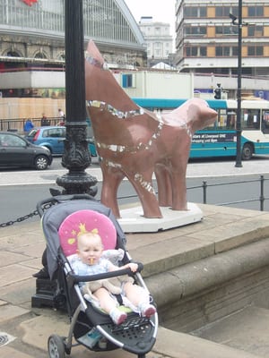 St George's Hall by null