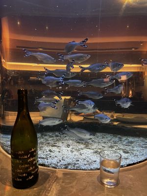 Kødbyens Fiskebar by null