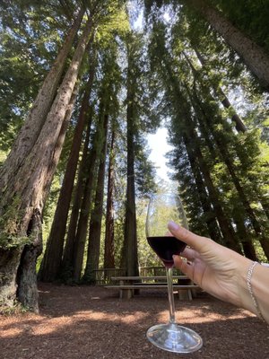 Beauregard Vineyards by null