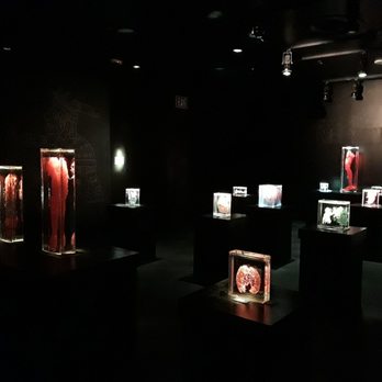 Real Bodies - Museums Near Me - Las Vegas, Nevada Real Bodies - Museums Near Me - Las Vegas, Nevada