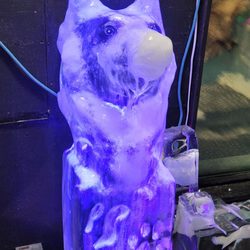 Fairbanks Ice Museum