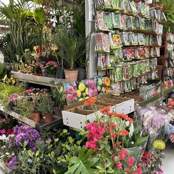 Mercado do Bolhão - Flowers - Public Markets Near Me - Porto, 13 Mercado do Bolhão - Flowers - Public Markets Near Me - Porto, 13