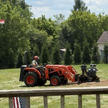 Chris K's Tree Service - Grinding large Ash stump - Tree Services Near Me Chris K's Tree Service - Grinding large Ash stump - Tree Services Near Me