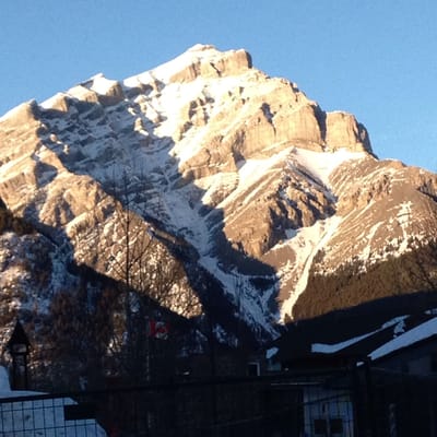 Banff Park Museum National Historic Site by null