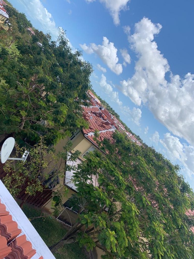 Slide of Mr. & Mrs. Shingles Roofing