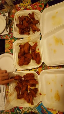 House of Wings by null