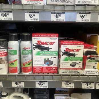 Paws and Claws Pet Care - The Rat poison she ate - Veterinarians Near Me - Palm Desert, California Paws and Claws Pet Care - The Rat poison she ate - Veterinarians Near Me - Palm Desert, California