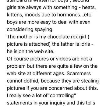 British Dynasty Cattery - Evidence of unprofessionalism and hostile attitude - Pet Breeders Near Me British Dynasty Cattery - Evidence of unprofessionalism and hostile attitude - Pet Breeders Near Me