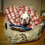 Photo of Stokesdale Veterinary Hospital