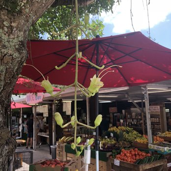 Pinecrest Wayside Market - Fruits & Veggies Near Me - Miami, Florida