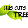 Photo of Luis Landscaping services
