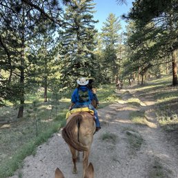 Trail ride