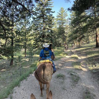 National Park Gateway Stables - Trail ride - Horseback Riding Near Me - Estes Park, Colorado