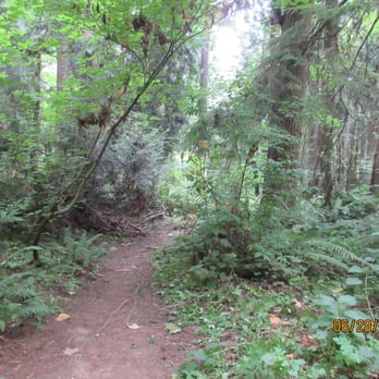 Edith Moulton Park - Parks Near Me - Kirkland, Washington Edith Moulton Park - Parks Near Me - Kirkland, Washington