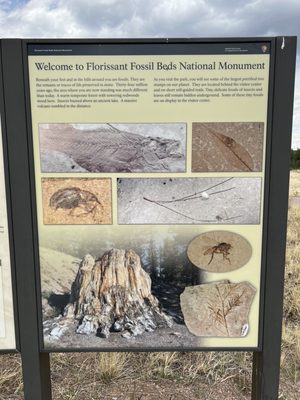 Florissant Fossil Beds National Monument by null