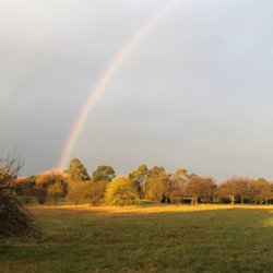 Off Leash Dog Parks