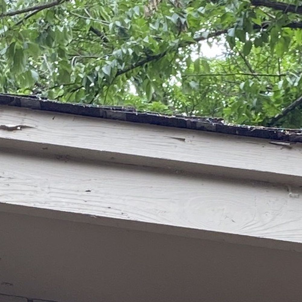 Webster's Quality Painting - Painters Near Me - Prior Lake, Minnesota Webster's Quality Painting - Painters Near Me - Prior Lake, Minnesota