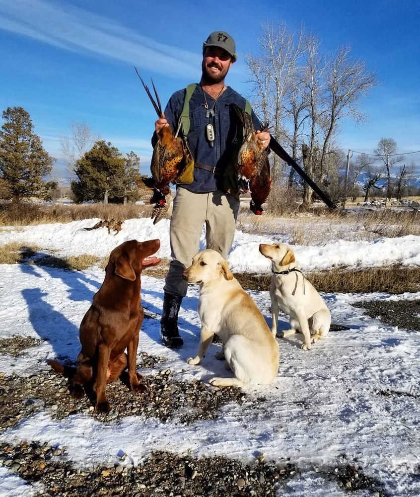 DIAMOND R KENNELS Updated May 2024 15 Photos 32 Bluff View Ln, Ennis, Montana Pet