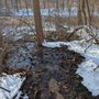 Photo of Fernwood Botanical Garden and Nature Preserve