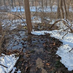 Fernwood Botanical Garden and Nature Preserve - Springs