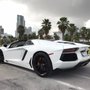 Photo of MVP Miami