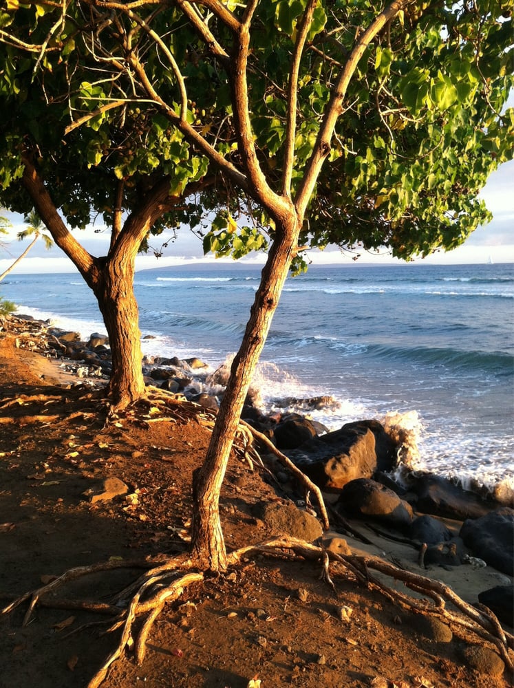 Puamana Beach Logo