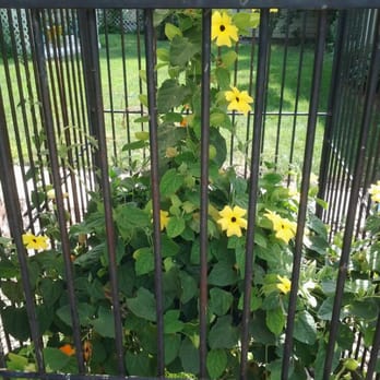 Rose of Sharon - Hotels Near Me - Norton, Kansas Rose of Sharon - Hotels Near Me - Norton, Kansas