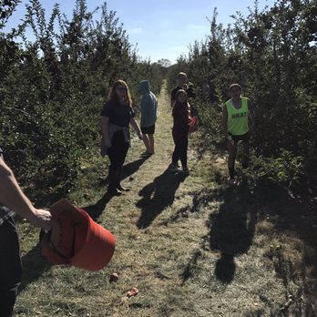 Battleview Orchards - Pick Your Own Farms Near Me - Freehold, New Jersey
