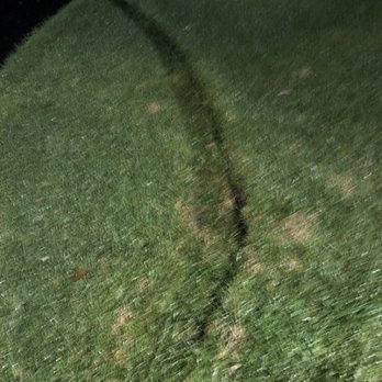 Mountain Movers - Damage to lawn - Movers Near Me
