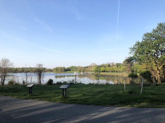 Lake Artemesia Natural Area by null