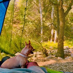 Reyes Creek Campground