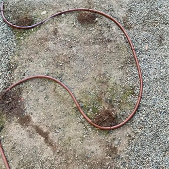 Holm Landscaping - Dead plants. - Landscaping Near Me - Bend, Oregon