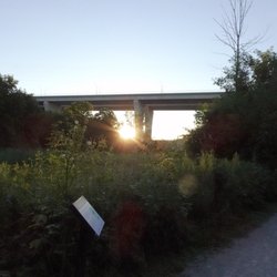 Lions Valley Park