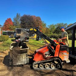 Pro Green Lawn and Shrub