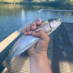 Progress Lake - Love fishing for trout
