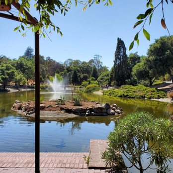 Sharon Park - Parks Near Me - Menlo Park, California