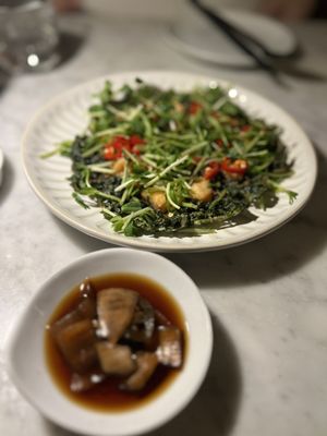 ONDO Jersey City by null