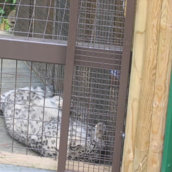 Paradise Wildlife Park - Zoos Near Me - London, XGL