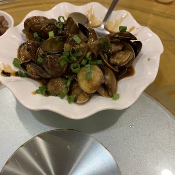 East Buffet & Restaurant - Clams with black bean sauce. Delicious!!! - Buffets Near Me - Flushing, New York East Buffet & Restaurant - Clams with black bean sauce. Delicious!!! - Buffets Near Me - Flushing, New York