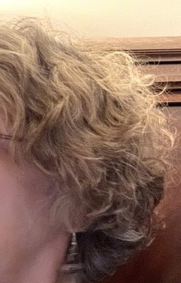 Harper Salon by null