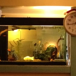 Restaurant Don Camillo