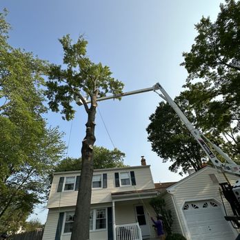 Captains Tree Service - Tree Services Near Me - Lindenwold, New Jersey